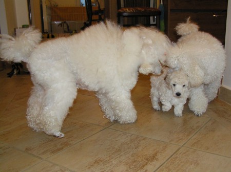 ... sem tam, ségra CERES mi dala Babu...